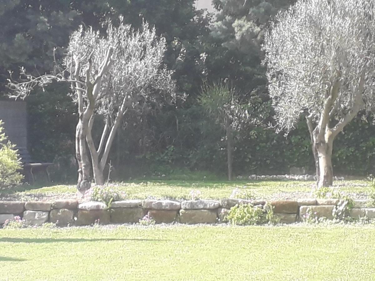 Mas" La Maison De Mon Pere " Proche Avignon A Pujaut ภายนอก รูปภาพ
